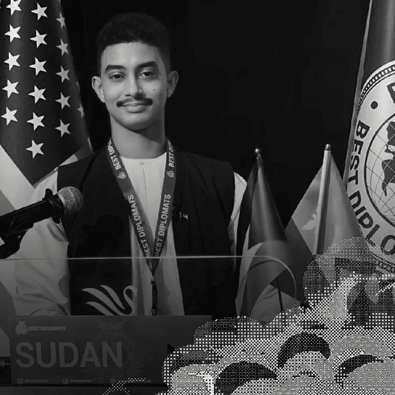 Country Representative at Best Diplomats